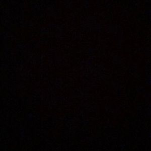 Meet your Posher, Reece